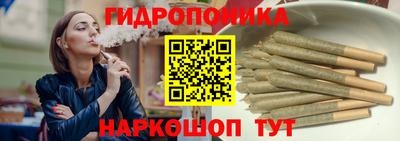 гашик Малгобек