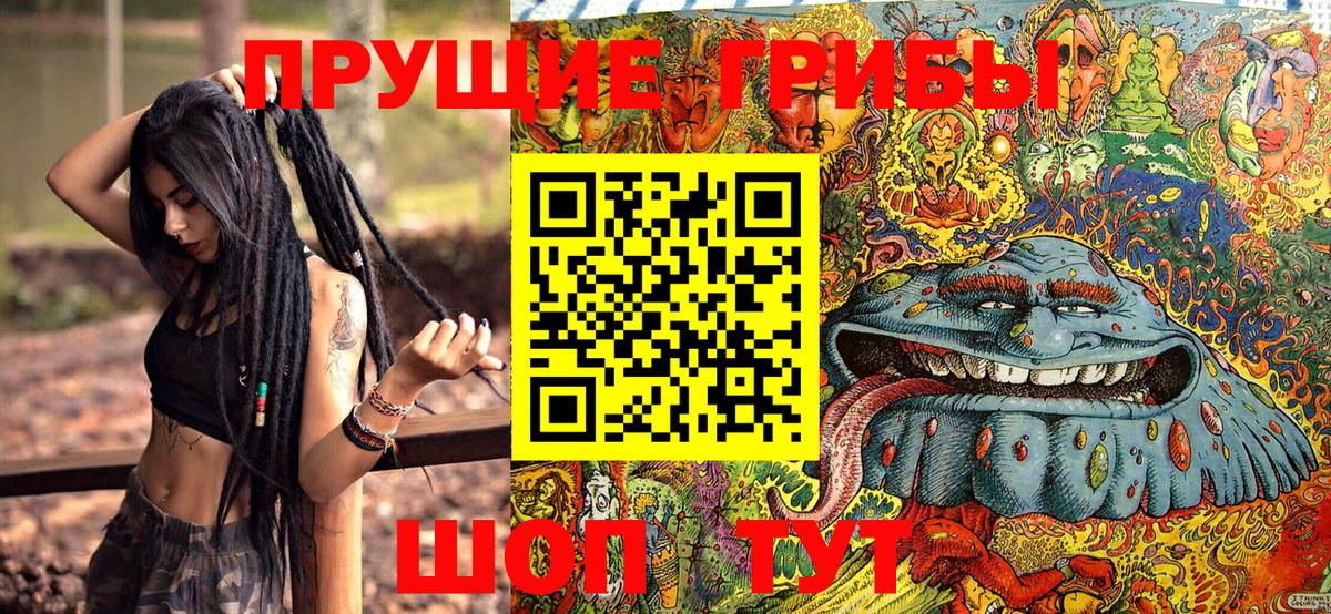 Галлюциногенные грибы прущие грибы  Вход с VPN  Сергиев Посад 